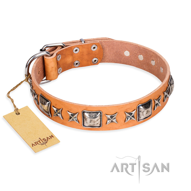 "Glamour Finery" FDT Artisan Female Golden Retriever collar of natural leather with stylish old-looking circles