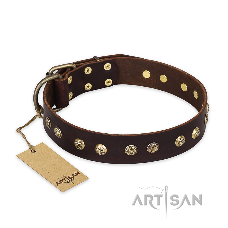 "Bronze Sheen" FDT Artisan Leather Golden Retriever Collar with Brass-Plated Studs