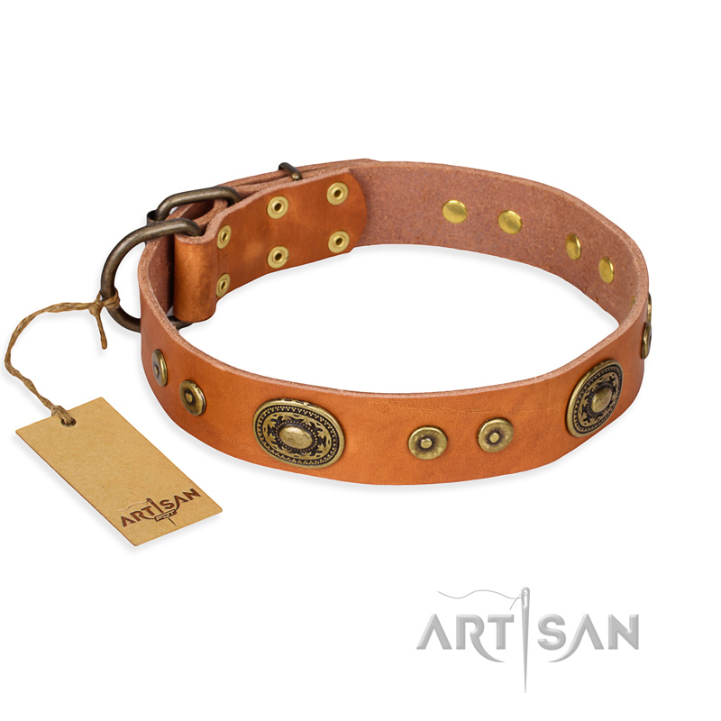 "Dandy Pet" FDT Artisan Handcrafted Tan Leather Golden Retriever Collar