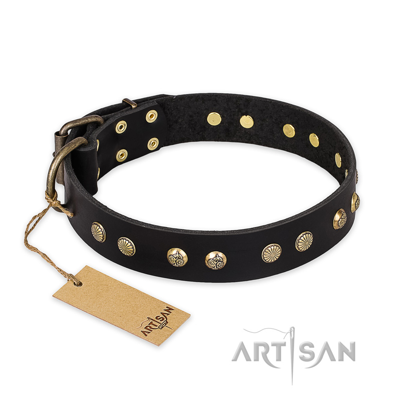"Black Elegance" FDT Artisan Leather Golden Retriever Collar with Round Studs