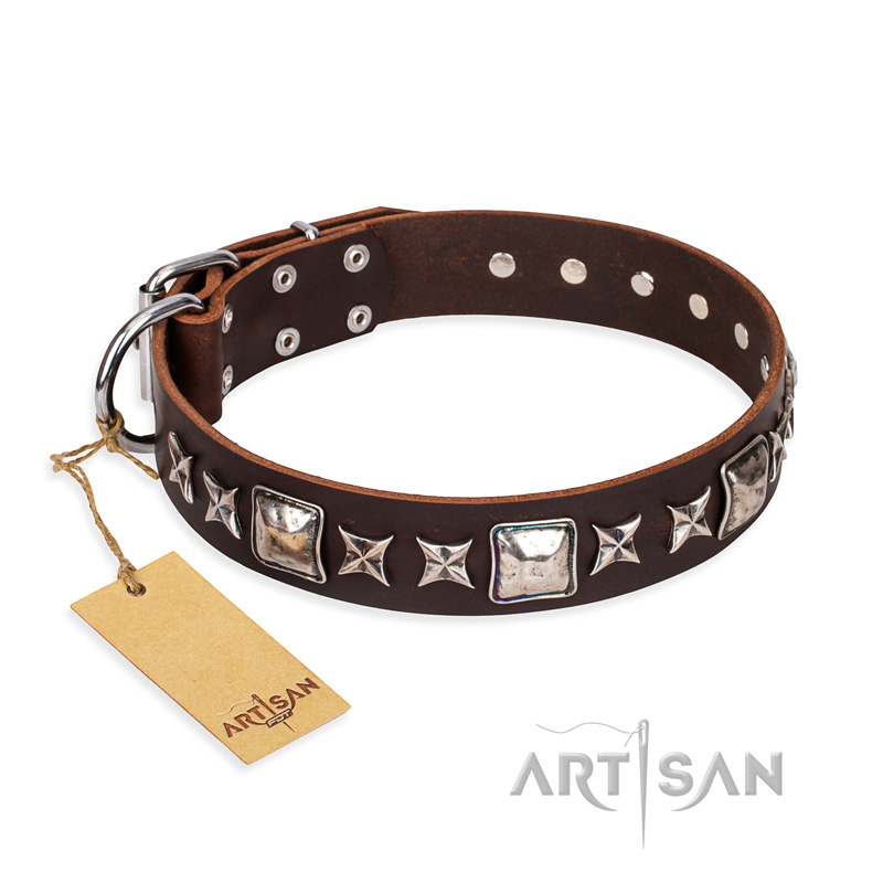 "Perfect Impression" FDT Artisan Brown Leather Golden Retriever Collar with Silvery Square Studs