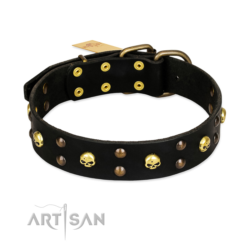 "Heavy Metal" Leather Golden Retriever Collar with Skulls and Studs 1 1/2 inch (40 mm)