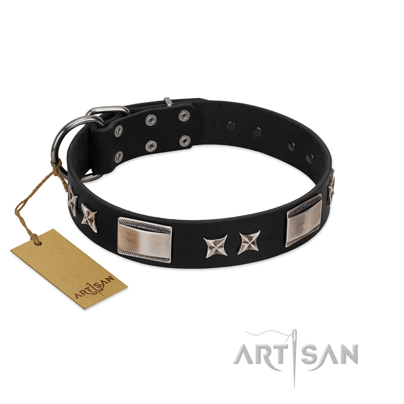 "Pitch Dark" FDT Artisan Black Leather Golden Retriever Collar with Stars and Plates