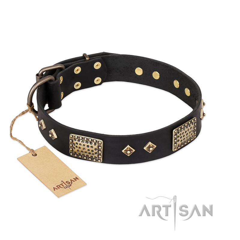 "Jewel Passion" FDT Artisan Fashionable Black Leather Golden Retriever Collar
