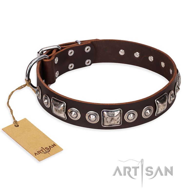 "Pierian spring" FDT Artisan Brown Leather Golden Retriever Collar with Silvery Decorations
