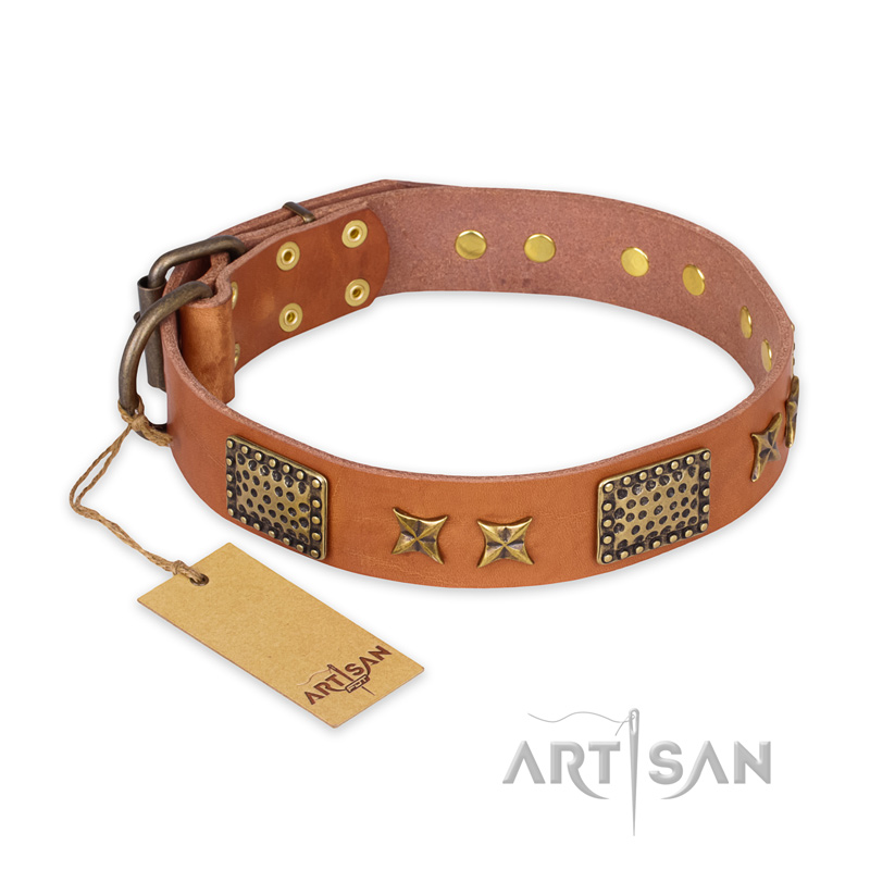 "Cosmic Traveller" FDT Artisan Adorned Leather Golden Retriever Collar with Old Bronze-Plated Stars and Plates