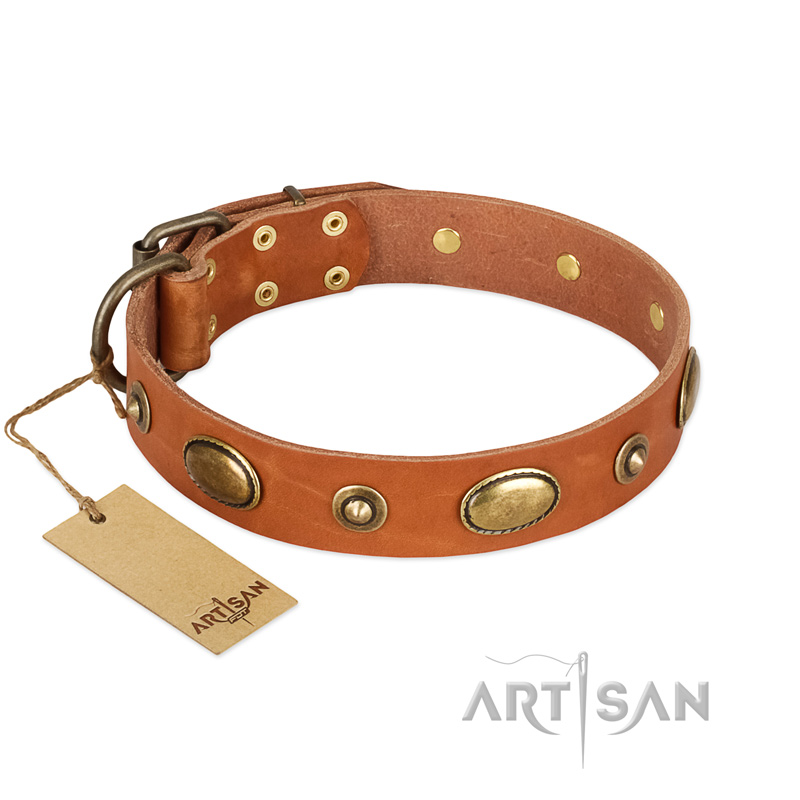 "Visual Magic" FDT Artisan Tan Leather Golden Retriever Collar for Daily Activities