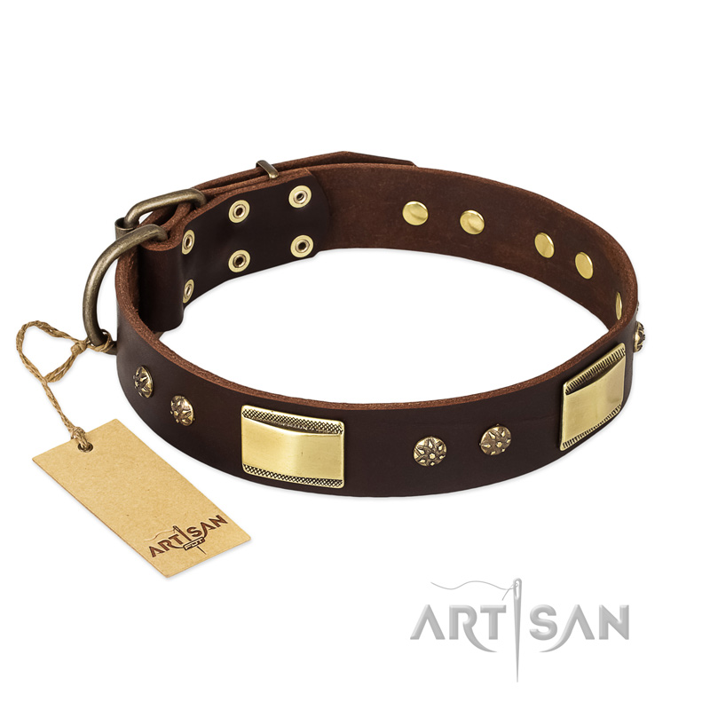 "Rich Fashion" FDT Artisan Decorated Leather Golden Retriever Collar with Plates and Studs