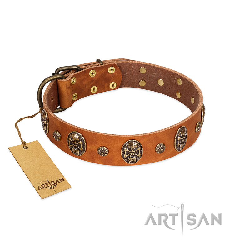 "Rockstar" FDT Artisan Tan Leather Golden Retriever Collar with Engraved Studs and Medallions