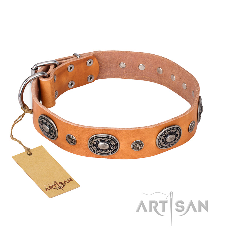 "Twinkle Twinkle" FDT Artisan Incredible Studded Tan Leather Golden Retriever Collar