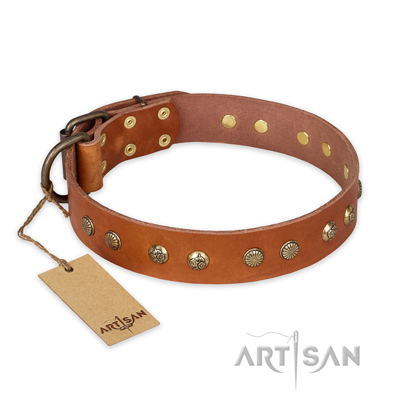 "Spring Flavor" FDT Artisan Adorned Leather Golden Retriever Collar with Old Bronze-Plated Engraved Studs