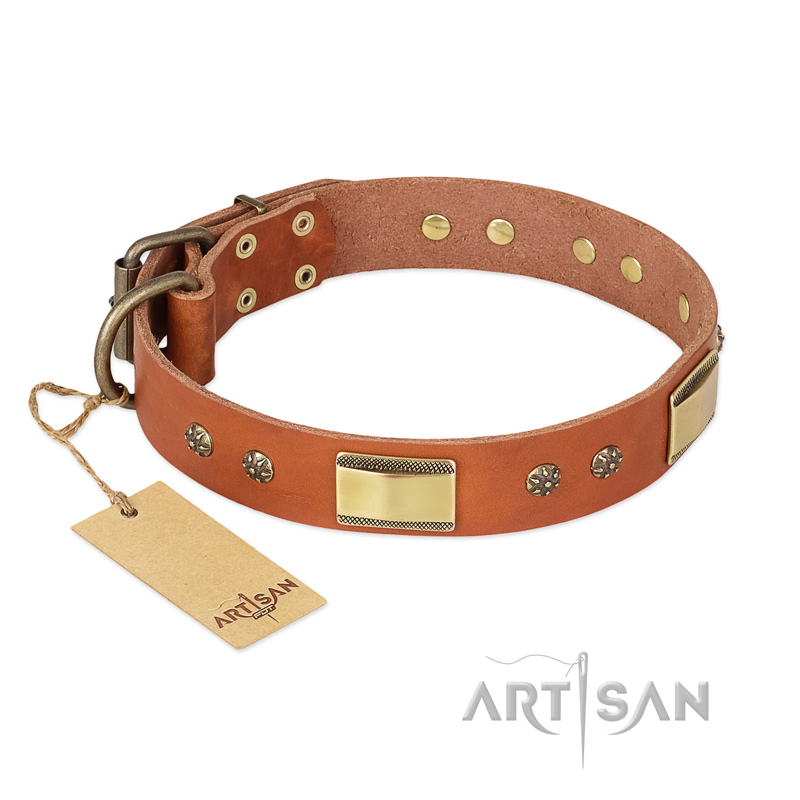 "Enchanting Spectacle" FDT Artisan Tan Leather Golden Retriever Collar with Old Bronze Look Plates and Round Studs