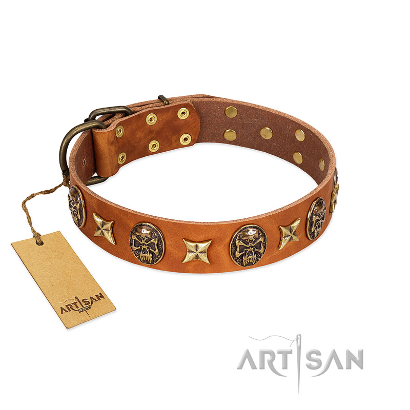 "Rockin' Doggie" FDT Artisan Tan Leather Golden Retriever Collar Adorned with Stars and Skulls