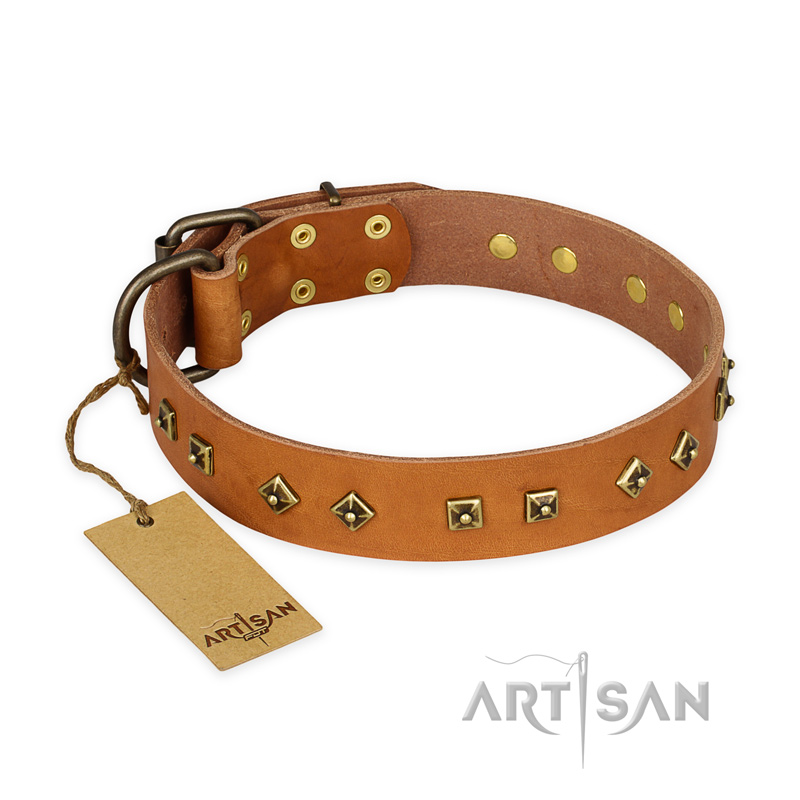 "Autumn Story" FDT Artisan Leather Golden Retriever Collar with Old Bronze Look Studs