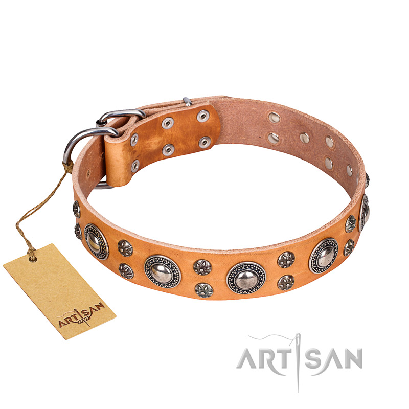 "Extra Sparkle" FDT Artisan Handcrafted Tan Leather Golden Retriever Collar