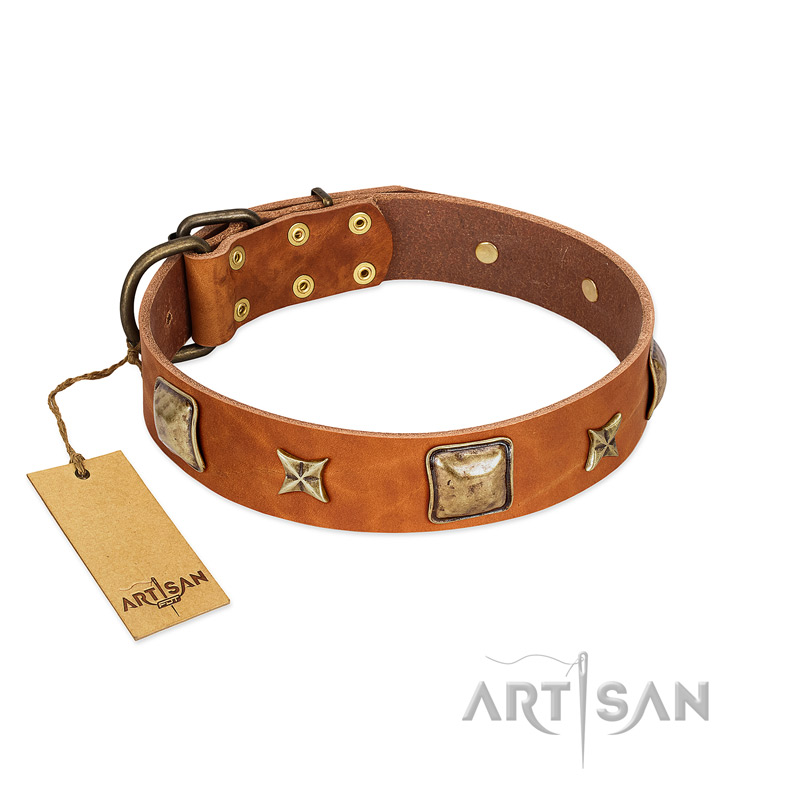 "Celtic Tunes" FDT Artisan Tan Leather Golden Retriever Collar Adorned with Stars and Squares
