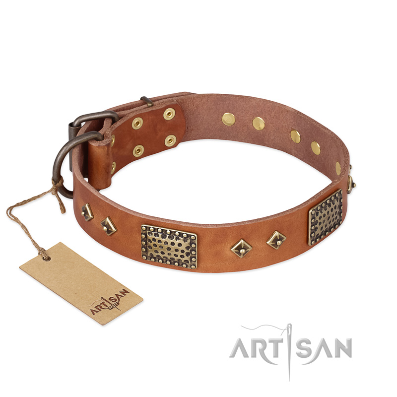 "Catchy Look" FDT Artisan Decorated Tan Leather Golden Retriever Collar