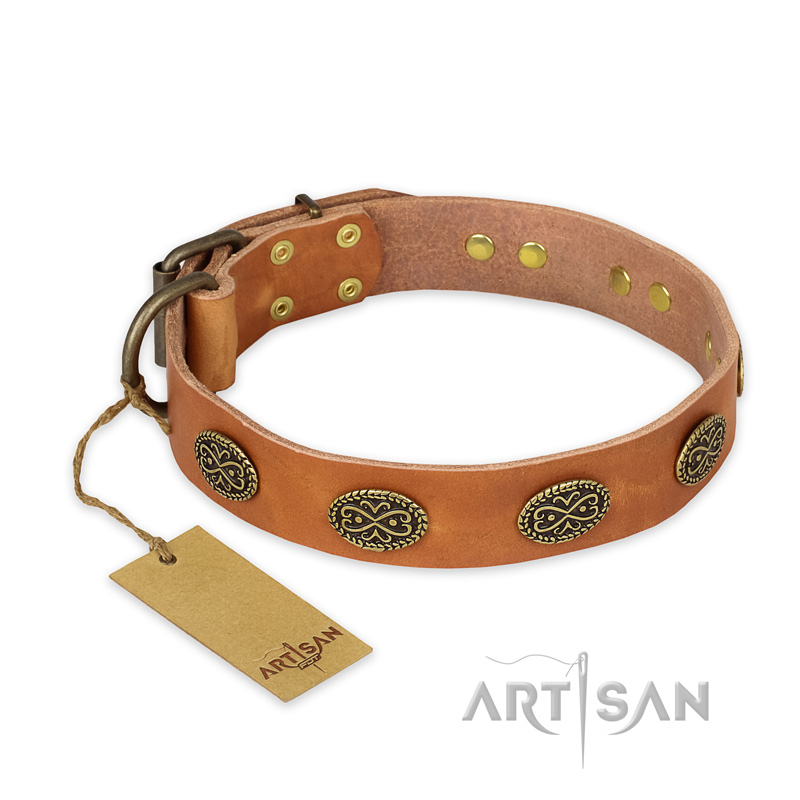 "Magic Amulet" FDT Artisan Tan Leather Golden Retriever Collar with Oval Studs