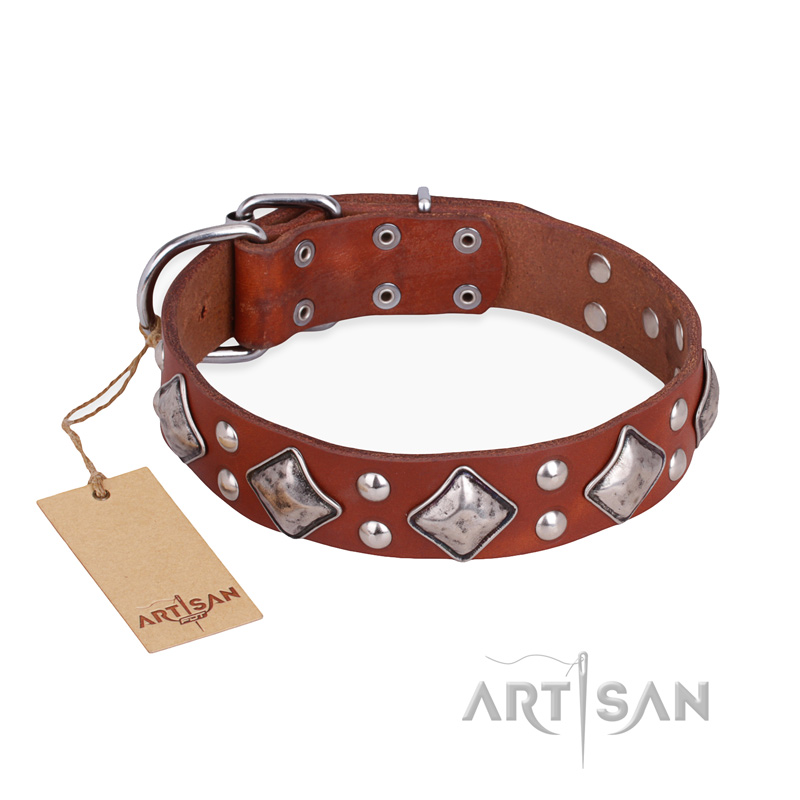 "Magic Squares" FDT Artisan Tan Leather Golden Retriever Collar with Silver-like Decor