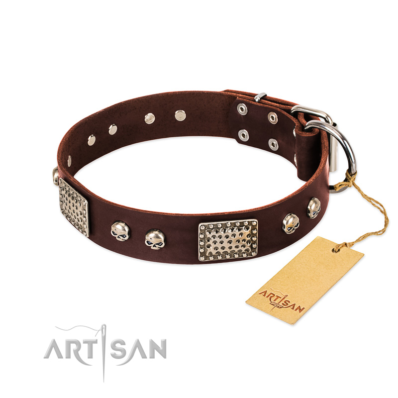 "Pirate Skull" FDT Artisan Brown Leather Golden Retriever Collar with Old Silver Look Plates and Skulls