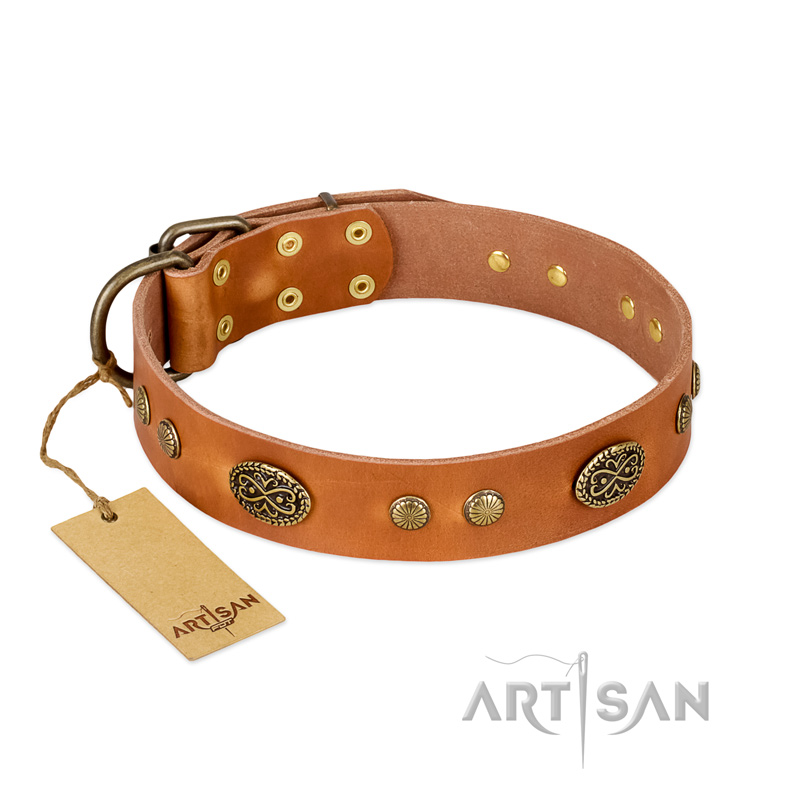 "Sun Beams" FDT Artisan Tan Leather Golden Retriever Collar with Decorations