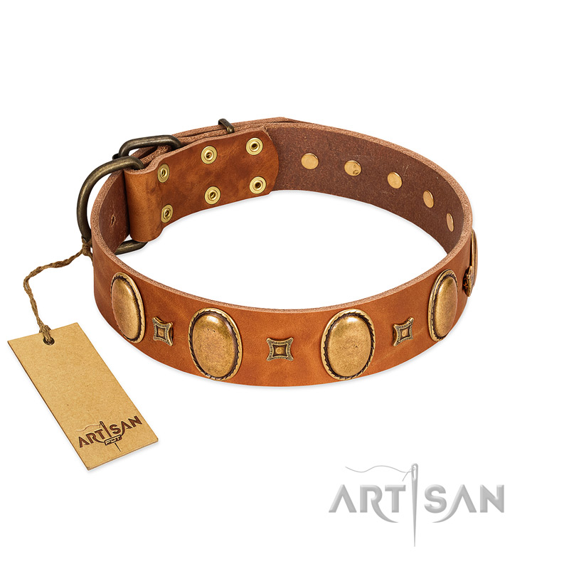 "Glossy Autumn" Designer Handmade FDT Artisan Tan Leather Golden Retriever Collar with Ovals and Studs
