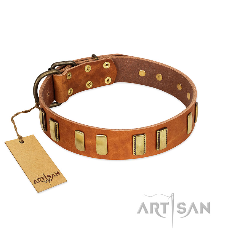 "Olive Slice" FDT Artisan Tan Leather Golden Retriever Collar with Engraved and Smooth Plates