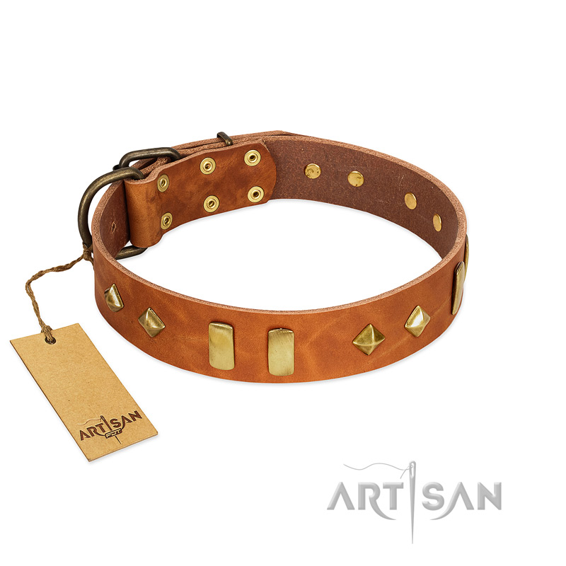 "Woofy Dawn" FDT Artisan Tan Leather Golden Retriever Collar with Plates and Rhombs