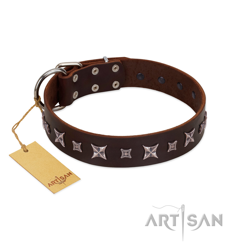 "Stellar Fairy " FDT Artisan Brown Leather Golden Retriever Collar with Chrome-plated Star-like Decorations