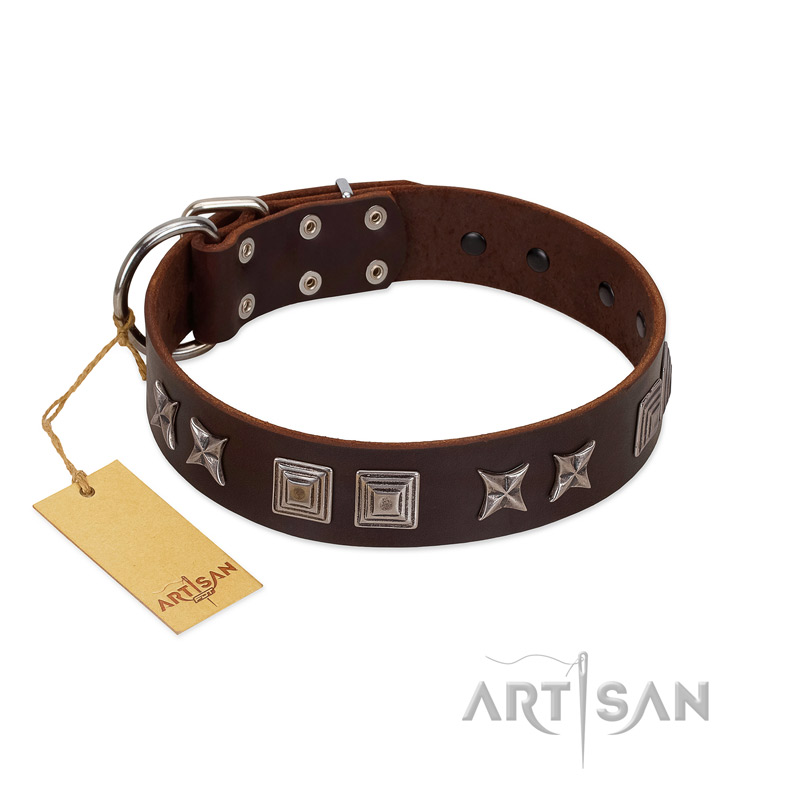 "Needle Stories" Modern FDT Artisan Brown Leather Golden Retriever Collar with Square Engraved Plates and Four-Point Stars