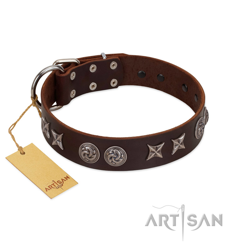 "Silver Sunset" Designer Handmade FDT Artisan Brown Leather Golden Retriever Collar