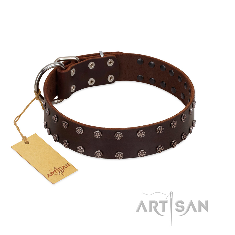 "Star Party" Handmade FDT Artisan Brown Leather Golden Retriever Collar with Silver-Like Studs