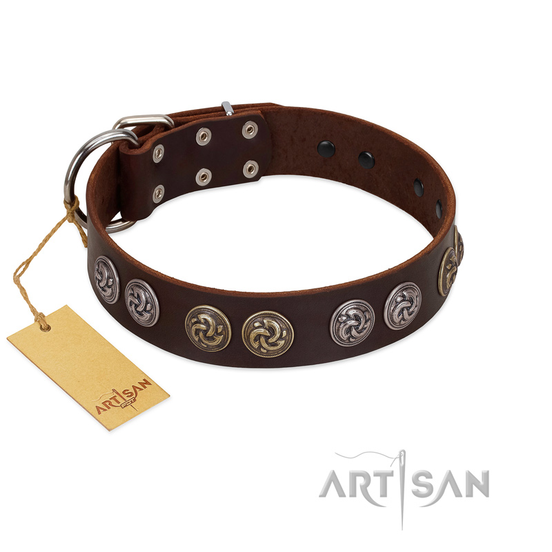 "Treasure Hunter" FDT Artisan Brown Leather Golden Retriever Collar with Old-Bronze-like and Silvery Medallions