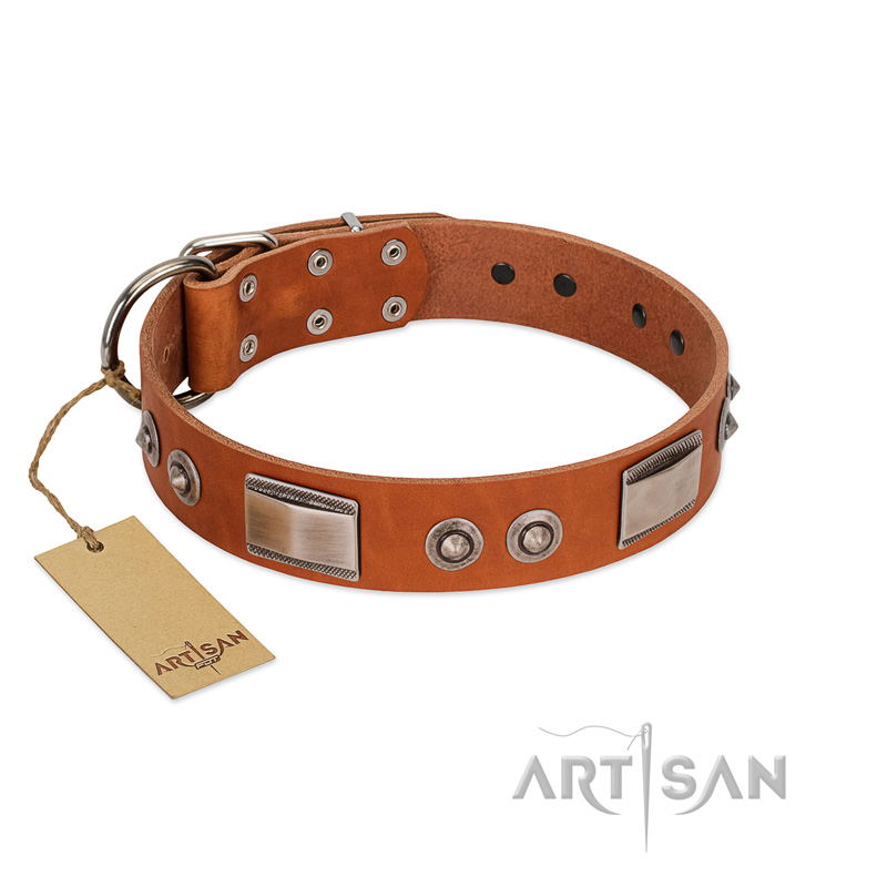 "Pawsy Glossy" FDT Artisan Exclusive Tan Leather Golden Retriever Collar 1 1/2 inch (40 mm) wide - Click Image to Close