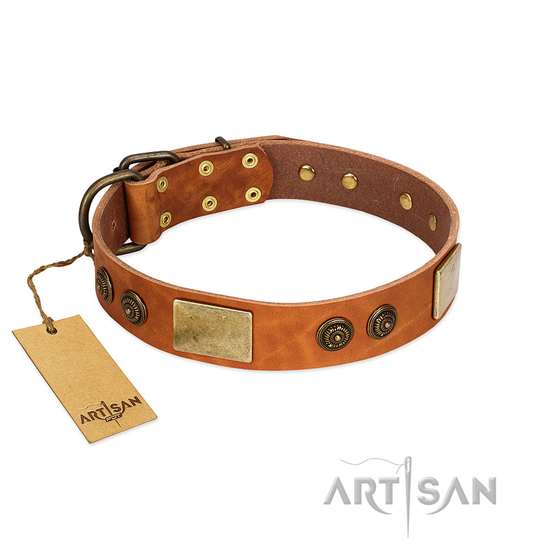 "Bronze Century" FDT Artisan Tan Leather Golden Retriever Collar with Plates and Brooches with Cool Ornament