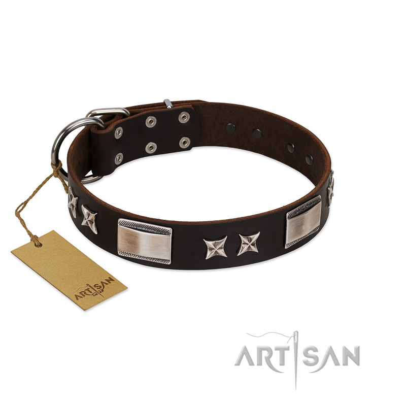 "Satin Beauts" FDT Artisan Brown Leather Golden Retriever Collar with Stars and Plates