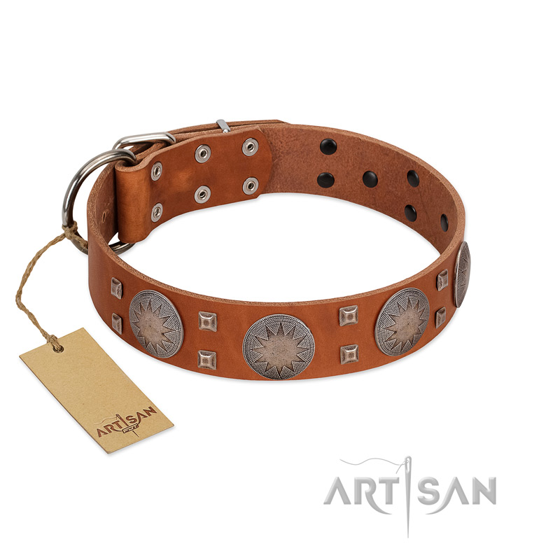 "Sun Rise Noon" FDT Artisan Tan Leather Golden Retriever Collar with Unique Design