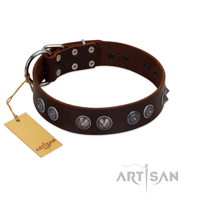 "King Arthur" FDT Artisan Brown Leather Golden Retriever Collar with Spiky Plates