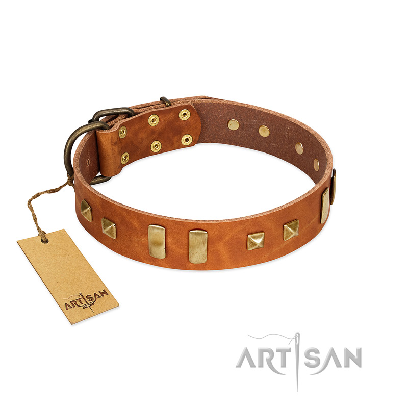 "Sand of Time" FDT Artisan Tan Leather Golden Retriever Collar with Old Bronze-like Studs and Plates