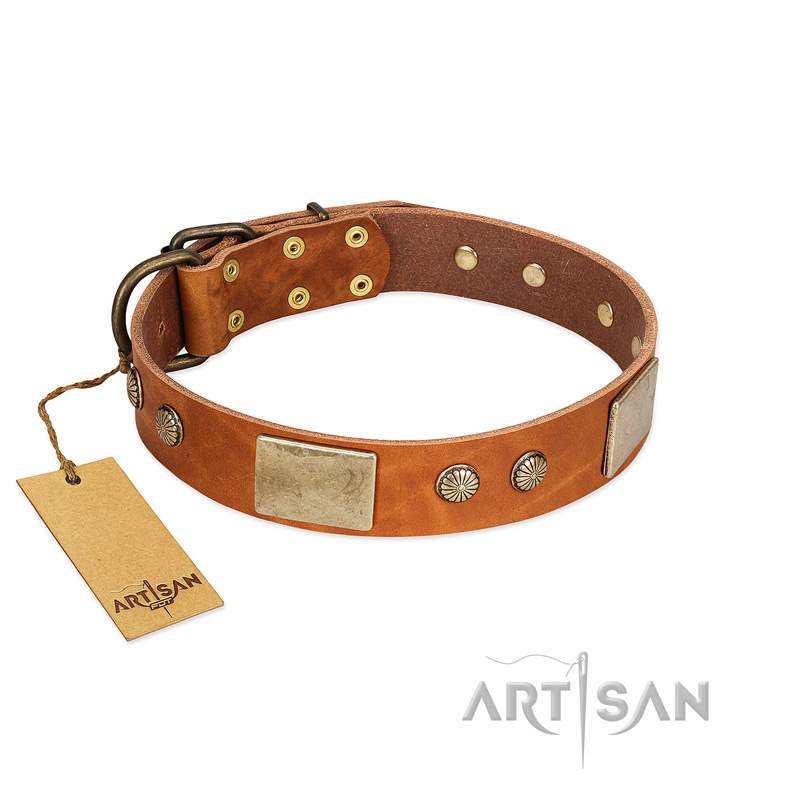 "Ancient Treasures" FDT Artisan Tan Leather Golden Retriever Collar with Antiqued Plates and Studs