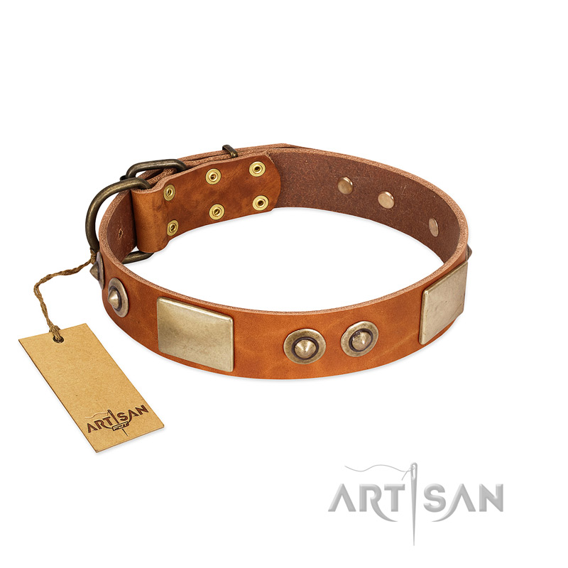 "Perfect Blend" FDT Artisan Tan Leather Golden Retriever Collar 1 1/2 inch (40 mm) wide