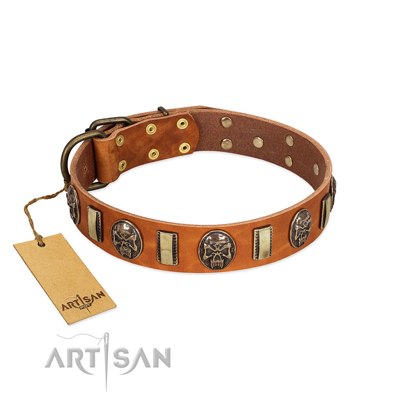 "Strike of Rock" FDT Artisan Tan Leather Golden Retriever Collar with Plates and Medallions with Skulls