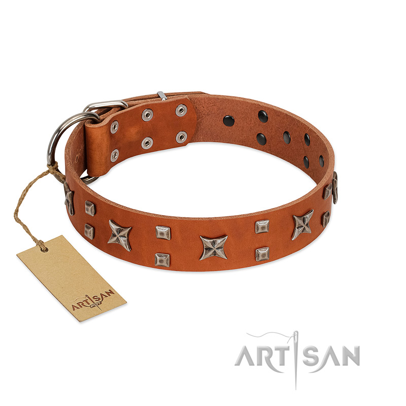 "Faraway Galaxy" FDT Artisan Tan Leather Golden Retriever Collar Adorned with Stars and Squares