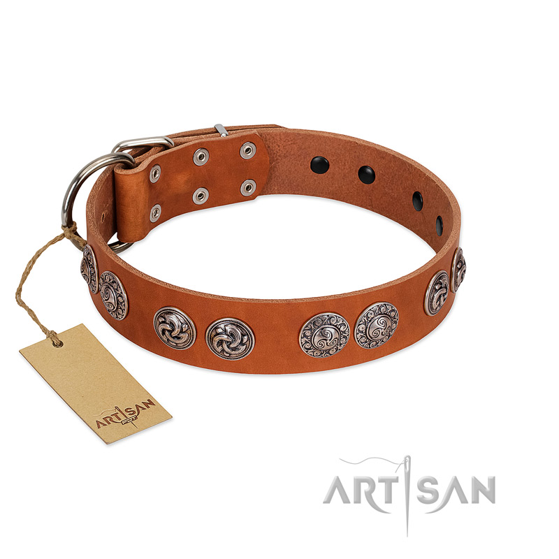 "Woofy Majesty" FDT Artisan Tan Leather Golden Retriever Collar with Round Silver-like Plates