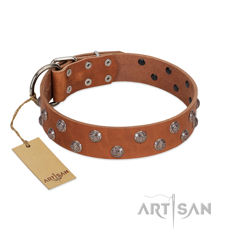 "Waltz of the Flowers" Handmade FDT Artisan Tan Leather Golden Retriever Collar with Chrome-plated Engraved Studs