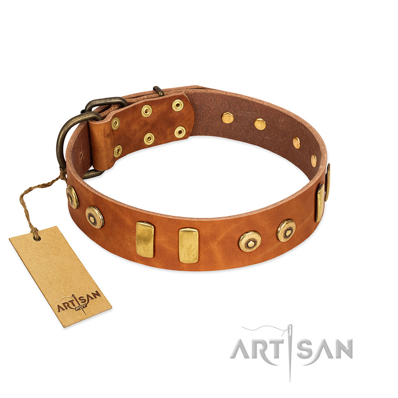 "Egyptian Script" FDT Artisan Tan Leather Golden Retriever Collar with Plates and Small Studs