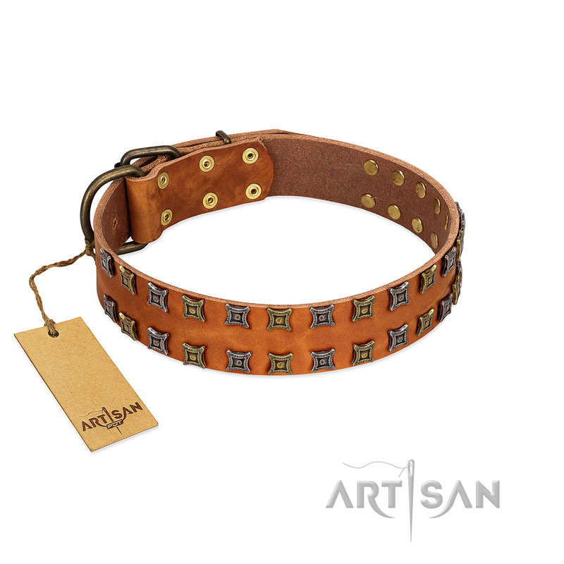 "Terra-cotta" FDT Artisan Tan Leather Golden Retriever Collar with Two Rows of Studs