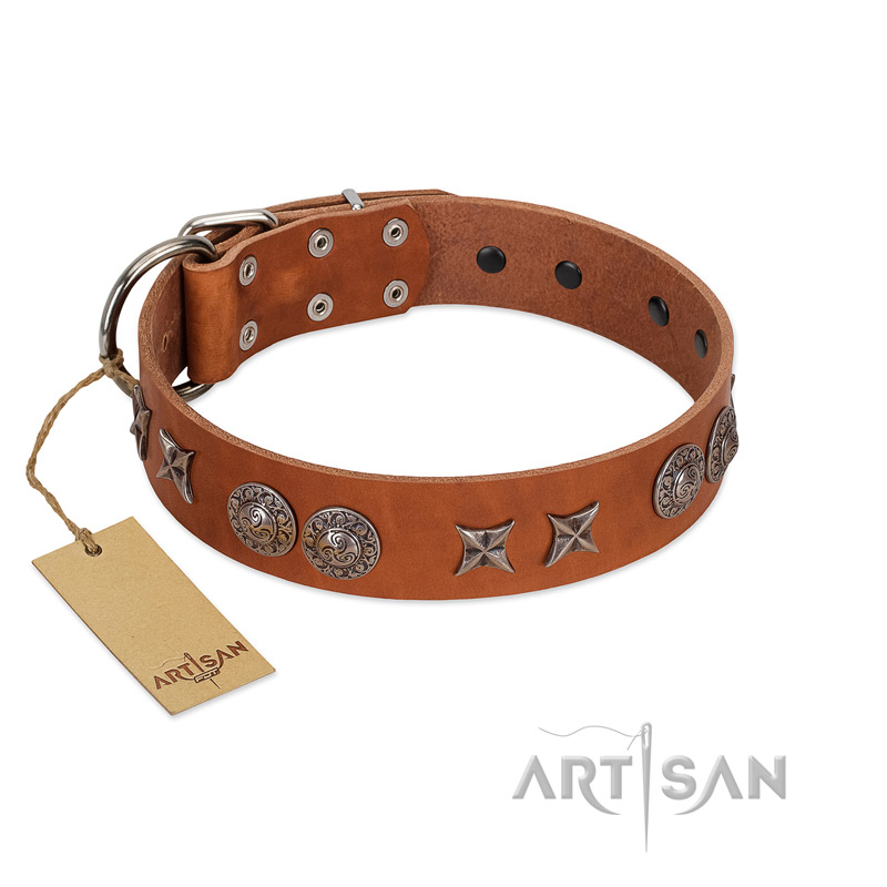 "Splendid Armor" Premium Quality FDT Artisan Tan Designer Golden Retriever Collar with Shields and Stars
