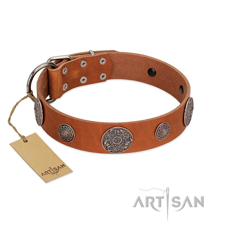 "Foxy Nature" FDT Artisan Tan Leather Golden Retriever Collar with Chrome Plated Brooches