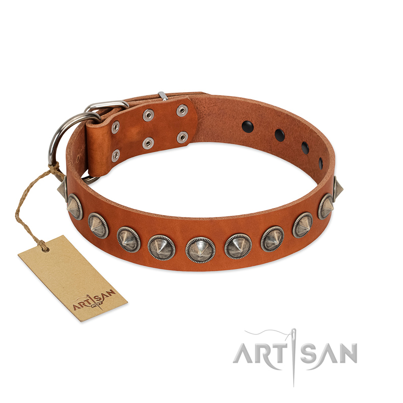 "Silver Spike" Handmade FDT Artisan Tan Leather Golden Retriever Collar with Old Silver-Like Spikes